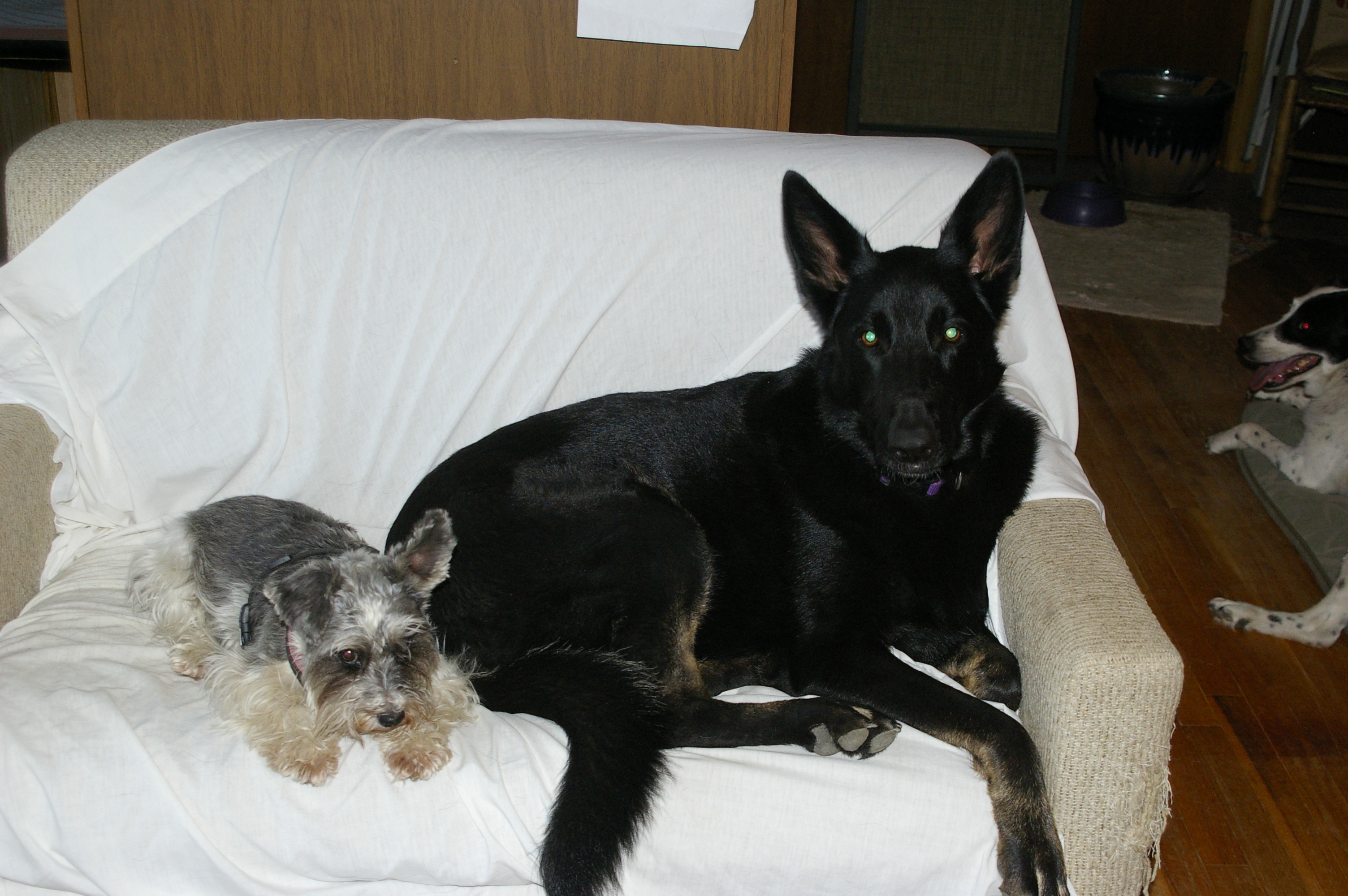 Milli & Sadie